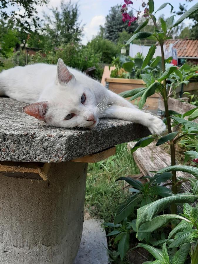 Ferienzimmer Sudheide Beckedorf  Bagian luar foto